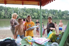 homokvar2019-1