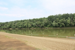 homokvar2019-2