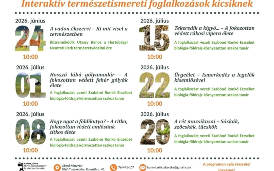 Nyári gyermek foglalkozások