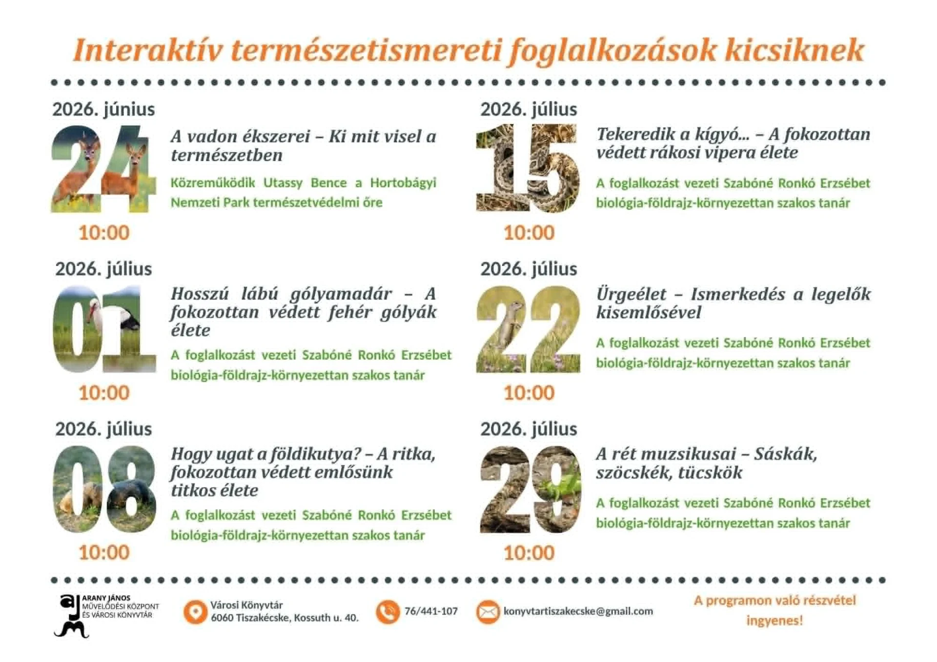 Nyári gyermek foglalkozások